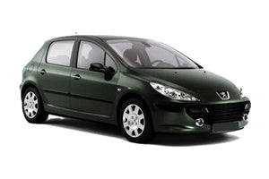 Peugeot 307 Dizel Enjektör
