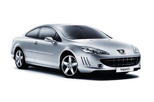 Peugeot 407 Dizel Enjektör